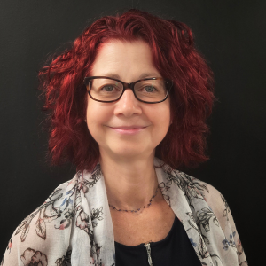 Sonia Gascon Centre intégré de santé et services sociaux Laurentides CDSA