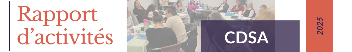 rapport d'activité CDSA 2025