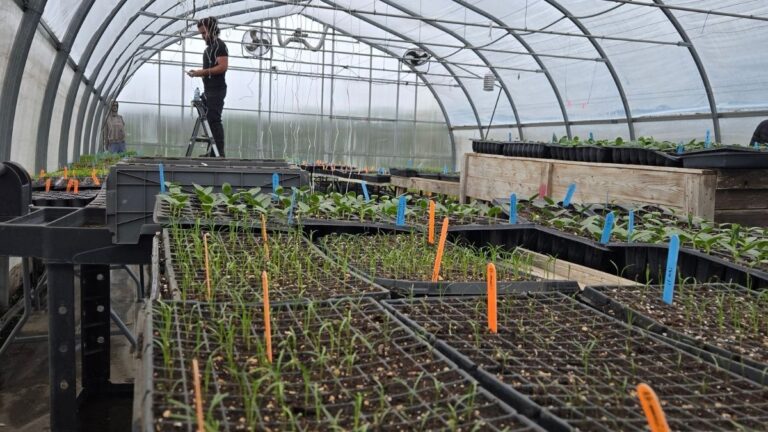 Agriculture Communautaire Argenteuil