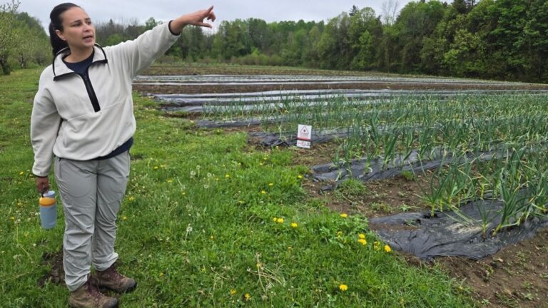 Agriculture Communautaire Argenteuil