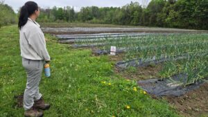 Alimentation durable Argenteuil