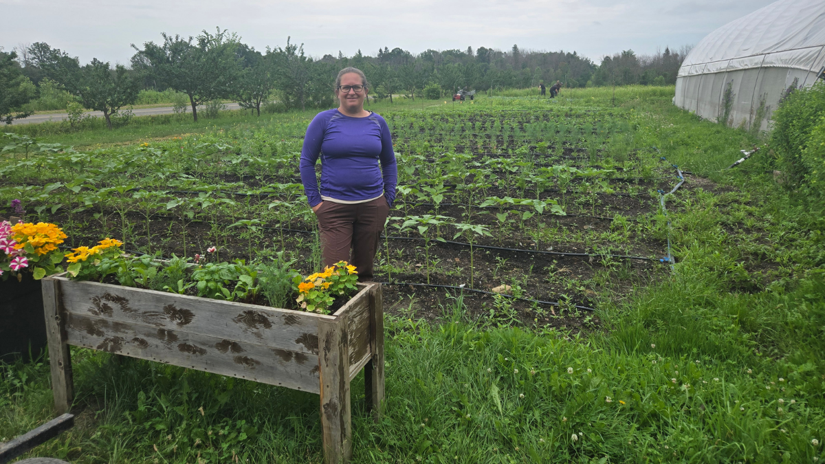 Karine : Là où les récoltes dépassent les légumes