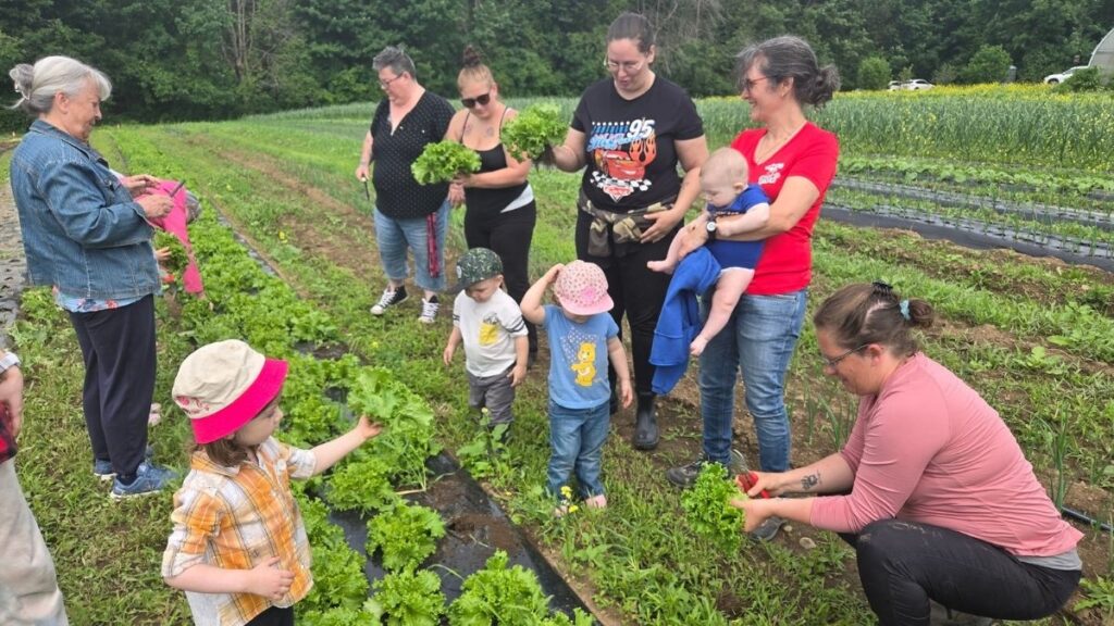 Agriculture Communautaire Argenteuil