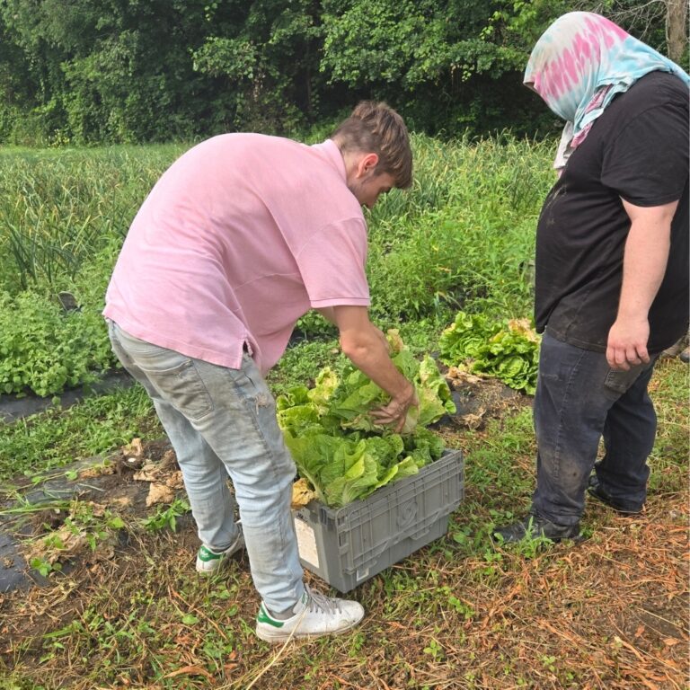 Orangé Annoncé Réseaux Sociaux Image (11)